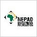 NEPAD Business Foundation ��������